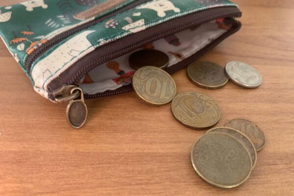 Отпускные и пособия у брянцев с сентября могут сократиться на треть