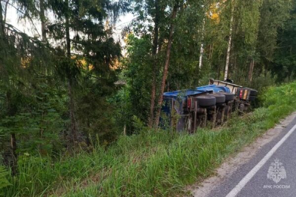 Под Брянском грузовик опрокинулся в кювет: работали спасатели