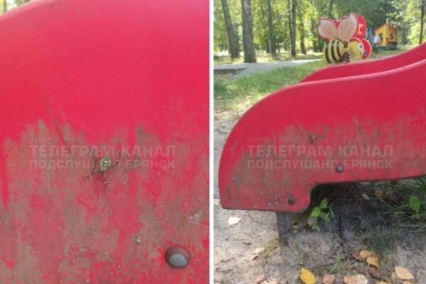 В Брянске смертоносные пауки-осы атаковали детские площадки