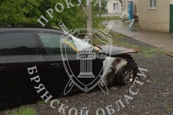 В Новозыбкове поджигатели автомобиля получили условные сроки