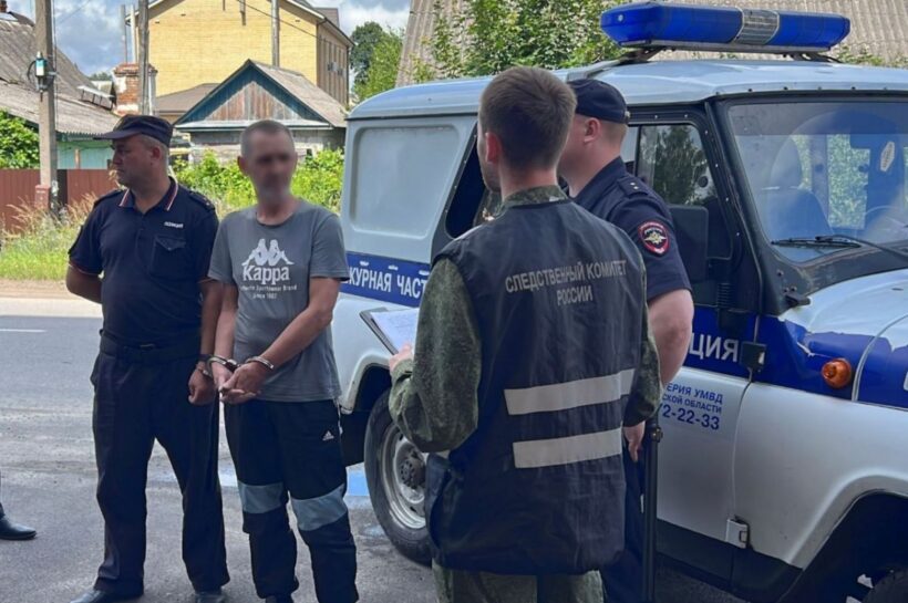 Житель Навли получил десятку за братоубийство и отвёртку в голове любимой женщины